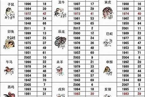 2025年是什么生肖|2025什么生肖？几月出生最好